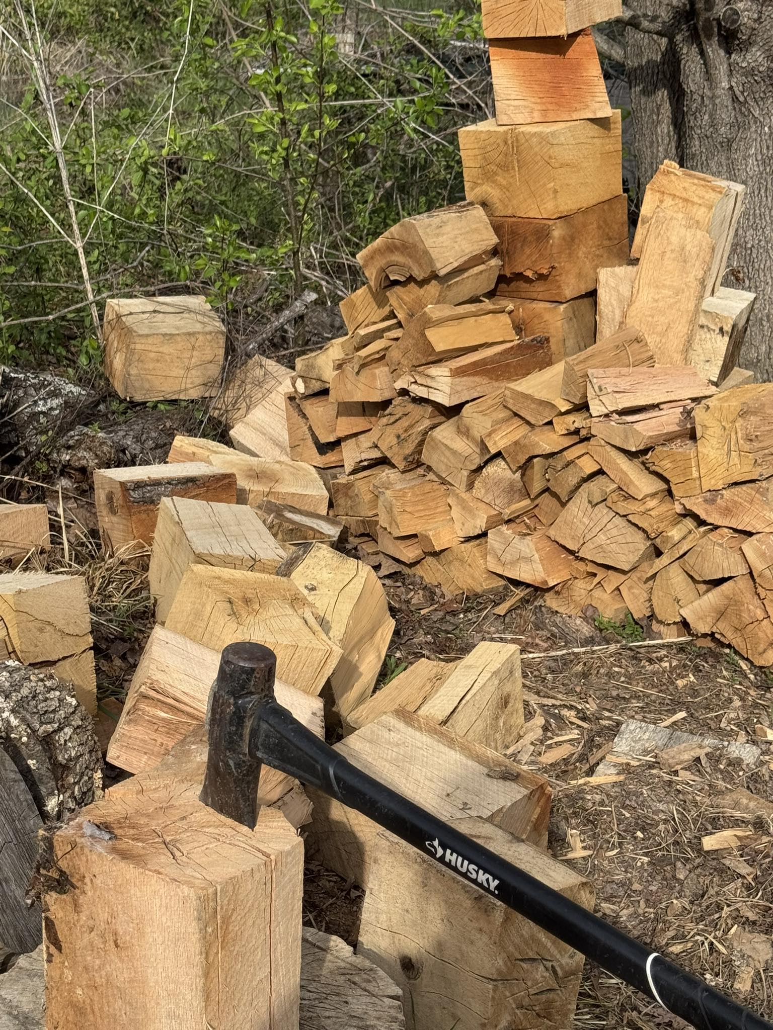 Missing Season Report!